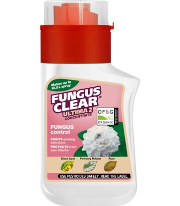 fungusclear-ultimate-concentrate