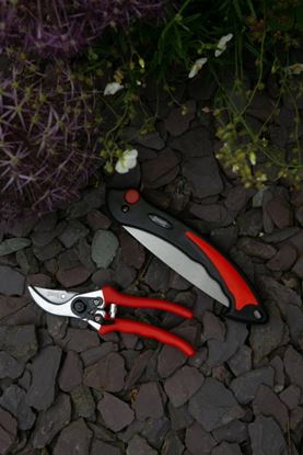 wilkinson-sword-folding-saw--pruner-set