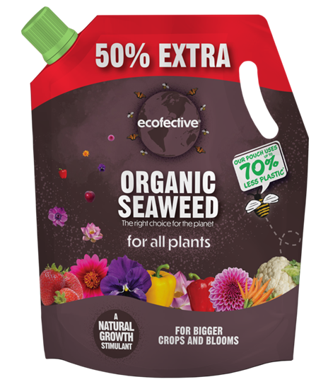 ecofective-organic-seaweed