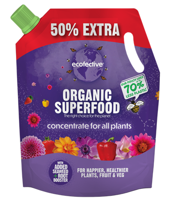 ecofective-all-plants-organic-superfood