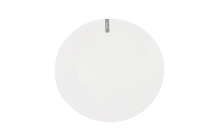 basiks-white-porcelain-dinner-plate