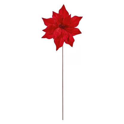 premier-red-velvet-poinsettia-flower