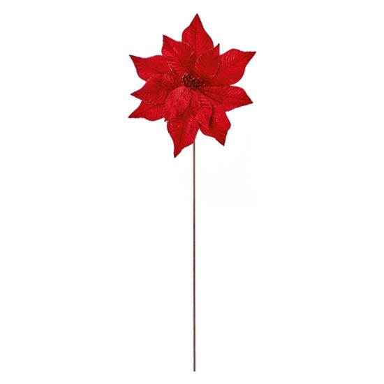 premier-red-velvet-poinsettia-flower