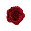 premier-burgundy-velvet-glitter-rose