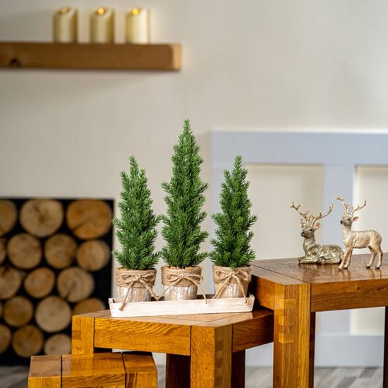 premier-trees-with-hessian-base