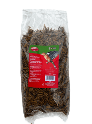 ambassador-calciworms