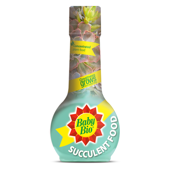 baby-bio-succulent-plant-feed