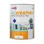 zinsser-all-weather-masonry-paint-white
