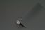 d-c-fix-uni-matt-anthrazit-self-adhesive-film