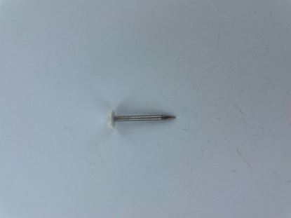 securfix-stainless-steel-plastic-headed-nail-white-40mm