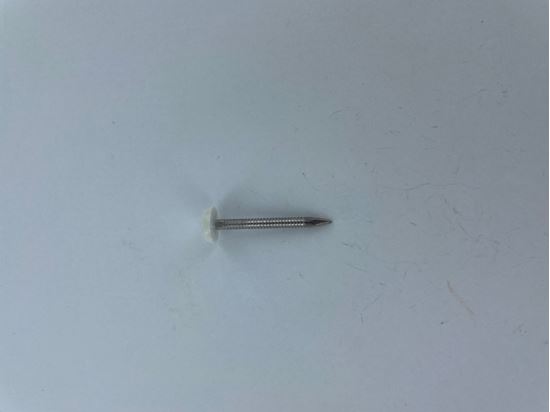 securfix-stainless-steel-plastic-headed-nail-white-40mm