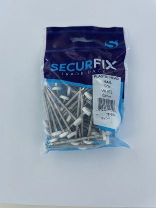 securfix-stainless-steel-plastic-headed-nail-white-65mm