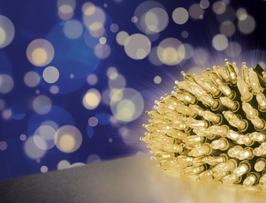 premier-multi-action-fairy-cap-light-string