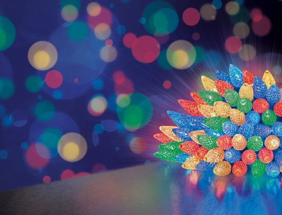 premier-c6-bcap-light-string-multi-leds-with-timer