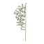 premier-sage-green-curly-glitter-stem
