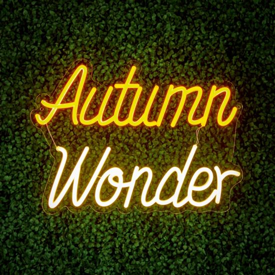 premier-autumn-wonder-led-neon-sign