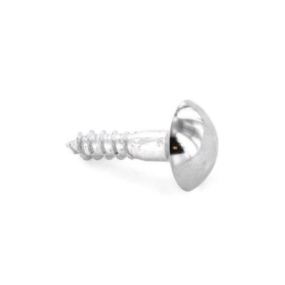 securpak-mirror-screw-cp-head-38mm