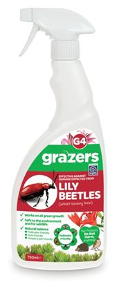 grazers-g4-lily-beetles