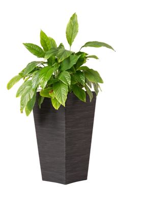garden-central-avondale-seagrass-slate-planter