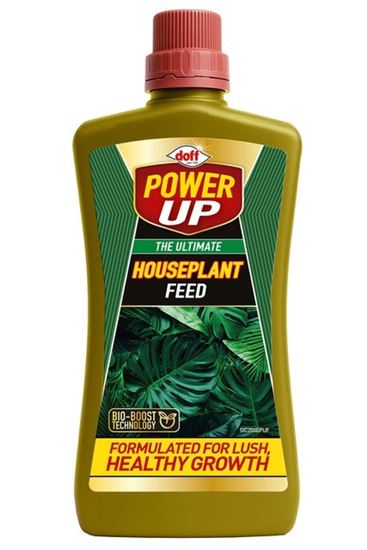 power-up-the-ultimate-houseplant-feed