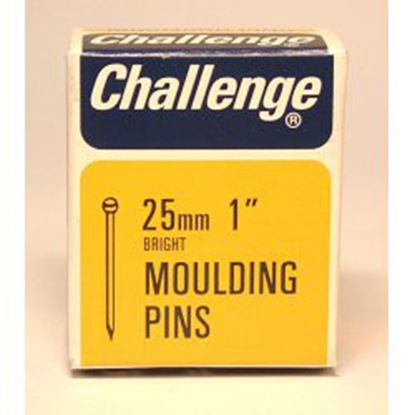 challenge-moulding-pins-veneer-pins---bright-steel-box-pack