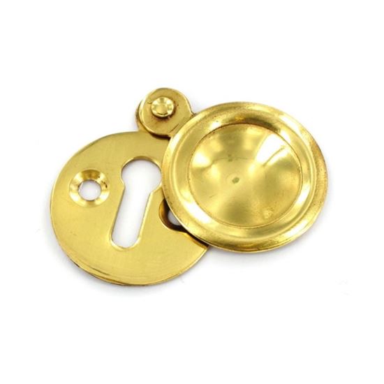 securit-victorian-escutcheon-covered