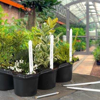ambassador-plant-labels