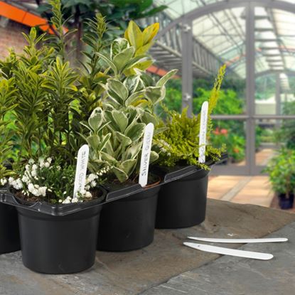 ambassador-plant-labels