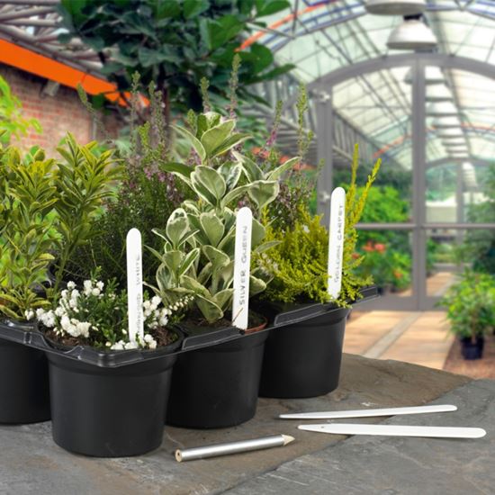 ambassador-plant-labels