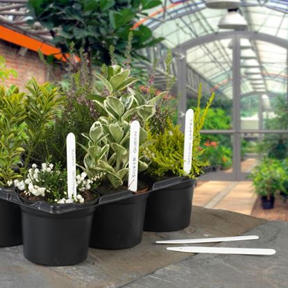 ambassador-plant-labels