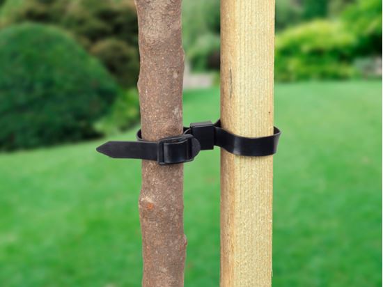 ambassador-adjustable-rose--shrub-ties