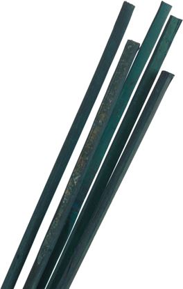 ambassador-support-canes
