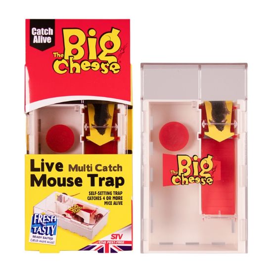 the-big-cheese-multi-catch-mouse-trap