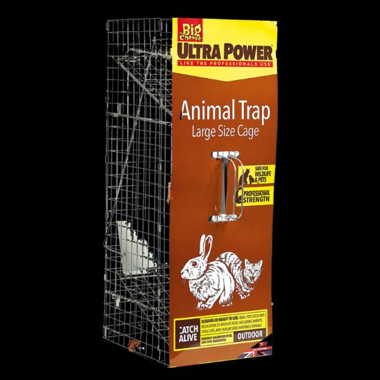 the-big-cheese-animal-trap