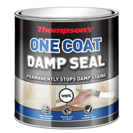 thompsons-one-coat-damp-seal