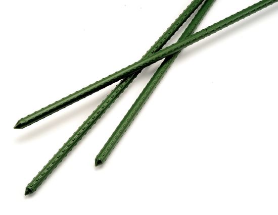 ambassador-garden-stake-single