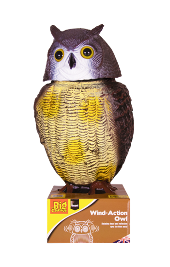 the-big-cheese-wind-action-owl
