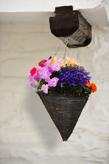ambassador-willow-hanging-cone-basket