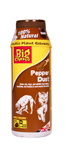 the-big-cheese-pepper-dust