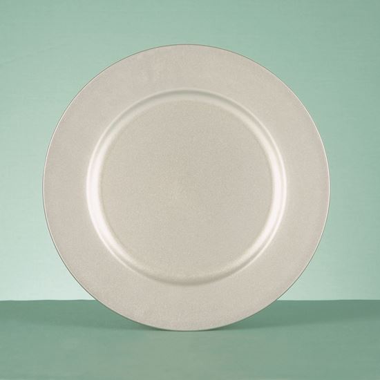 premier-server-charger-plate