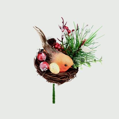 premier-robin-in-a-nest-pick