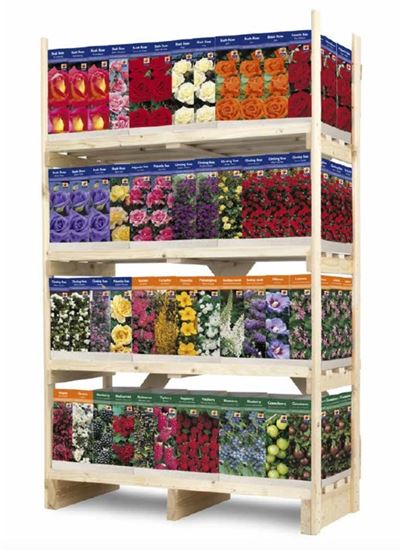 de-ree-uk-roses-and-shrubs