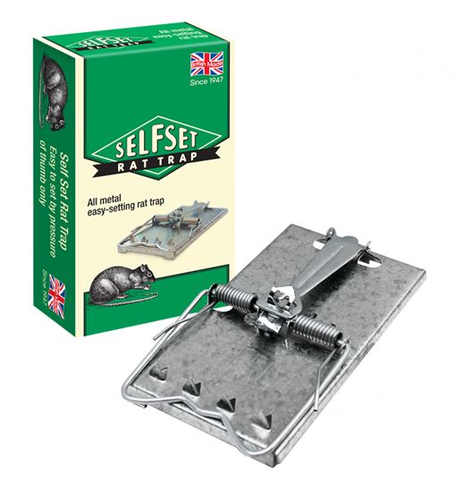 self-set-rat-trap