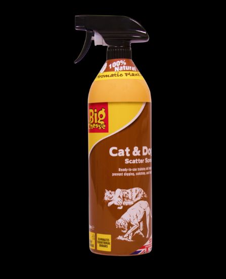 the-big-cheese-cat-scatter-spray