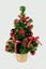 premier-dressed-tree