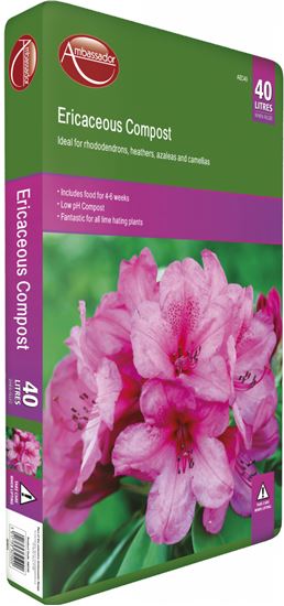 ambassador-ericaceous-compost