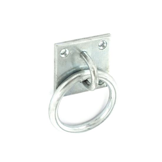 securit-ring-on-plate