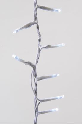 kaemingk-led-twinkle-compact-lights