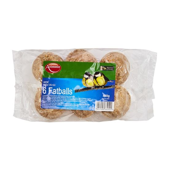 ambassador-fat-balls