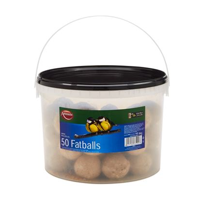 ambassador-fat-balls
